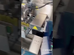 단일 스테이션 스탠드업 포스 향신료 곡물 오트밀 가루 포장 기계 지퍼 가방