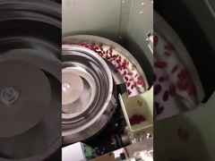 수직형 곡물 포장 기계 초콜릿 콩 견과류 간식