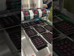 에어플로우 체인