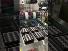 에어플로우 체인2