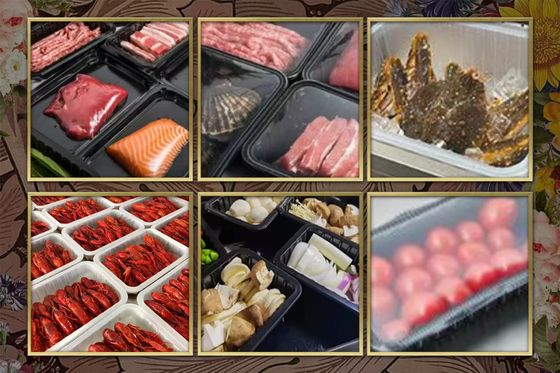 Fully Automatic Tray Sealer with Food Grade Stainless Steel and 6061 Aluminum Mold for Modified Atmosphere Packaging