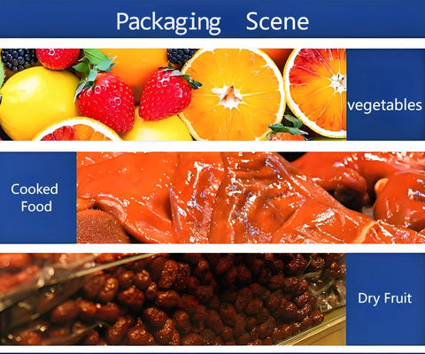 Stainless Steel Manual Heat Sealer Machine FR220E with Adjustable Temperature CE Certified for Food Tray Sealing