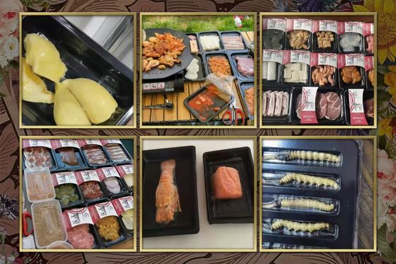 Fully Automatic Vacuum Skin Sealing Machine DQ440VSL with Food Grade 304 Stainless Steel and 6061 Anodized Aluminum Mold for MAP Packaging